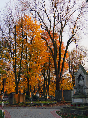 autumn in the park