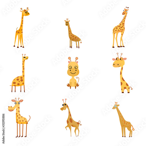 Giraffe vector illustration isolated on white background. African animal. Tallest animal. Safari trip attraction. Big five. Giraffe in gallop pose. Portrait of giraffe.
