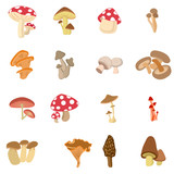 Poisonous and edible mushroom cartoon,outline icons in set collection for design. Different types of mushrooms vector symbol stock web illustration.