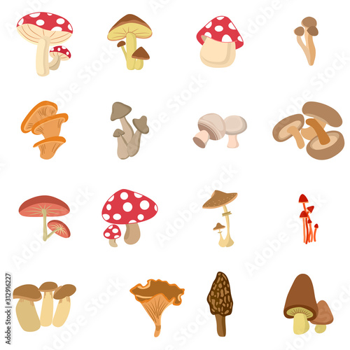 Poisonous and edible mushroom cartoon,outline icons in set collection for design. Different types of mushrooms vector symbol stock web illustration.