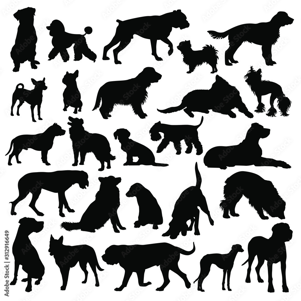 Dog Breed Silhouette Set Isolated