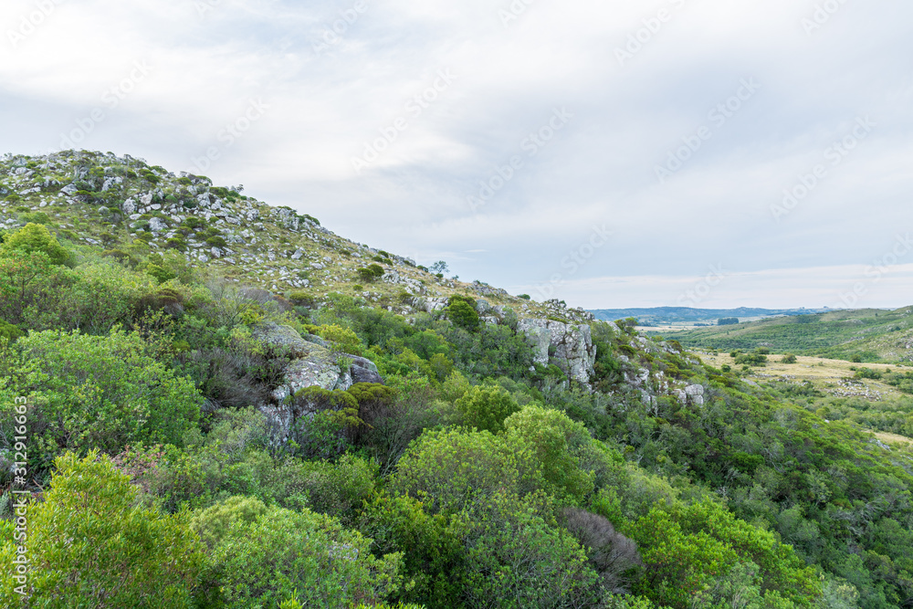 Fototapeta premium Natural park for hiking trips in indigenous vegetation of South America in Uruguay