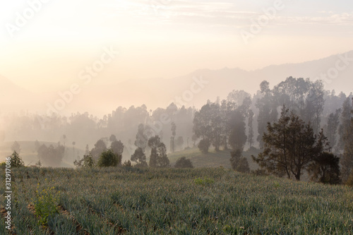 Sunrise in cemoro lawang near mount Bromo