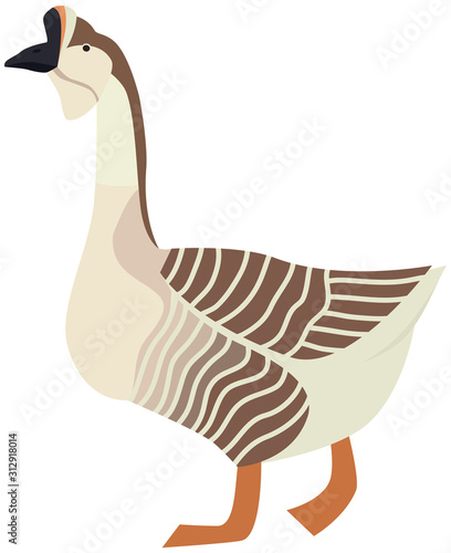 Farming today African goose Vector illustration Isolated object