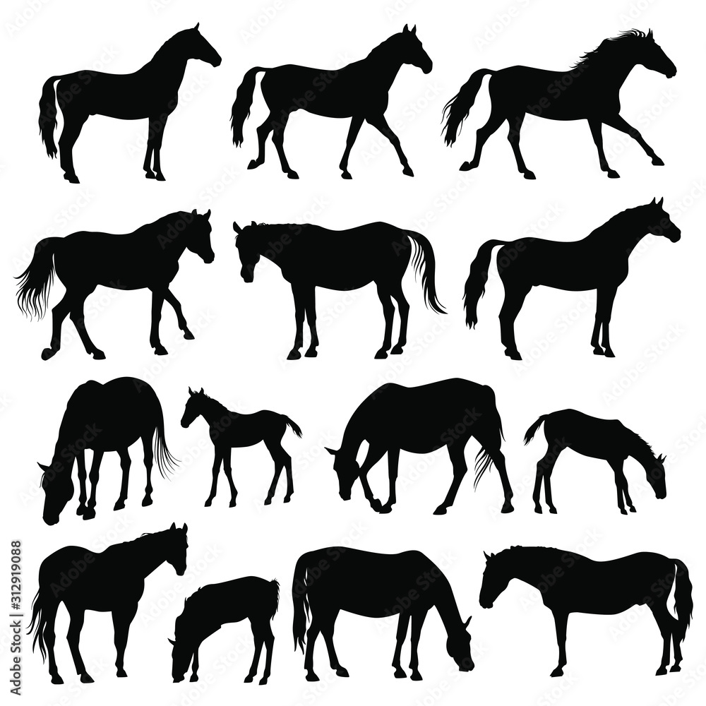 Obraz premium Wild Horses Herd Silhouette Set