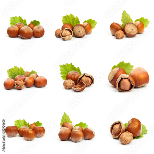 Set of Hazelnut nut many leaves isolated on a white background as a packaging design element