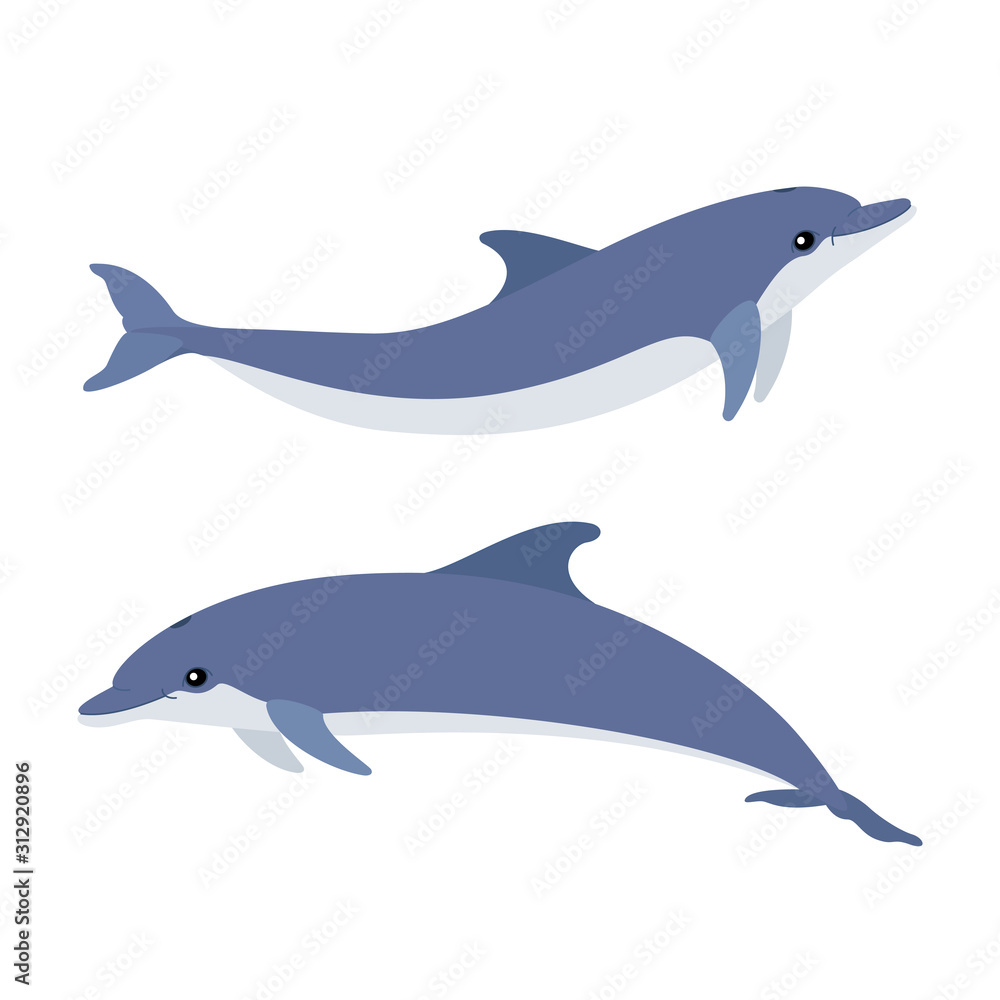 Fototapeta premium vector cartoon animal clip art