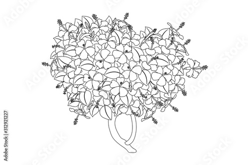 vector hand drawn plant clipart