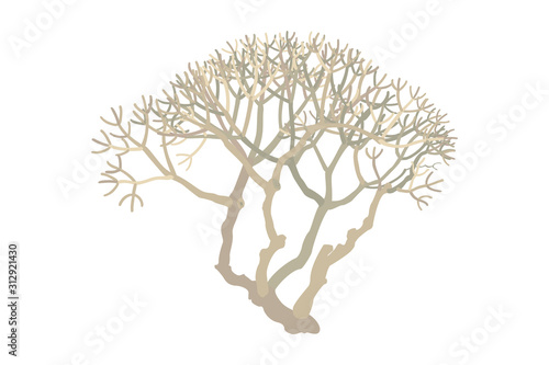 vector hand drawn plant clip art
