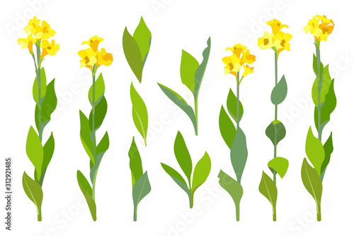 vector hand drawn plant clipart