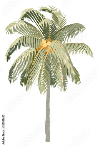 vector hand drawn plant clipart