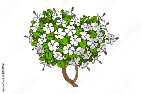 vector hand drawn plant clipart