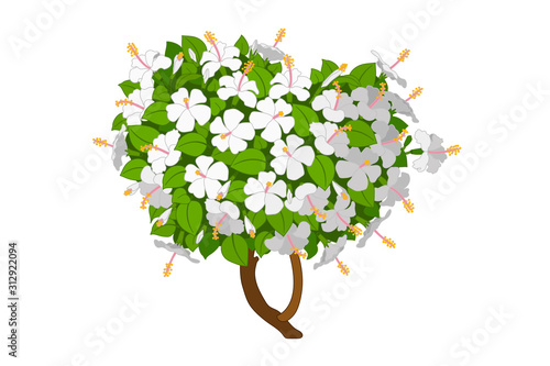 vector hand drawn plant clipart