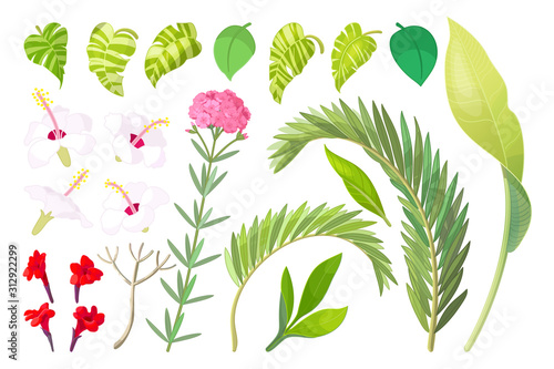vector tropical plant objects set