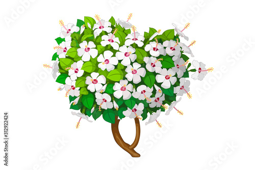 vector hand drawn plant clipart