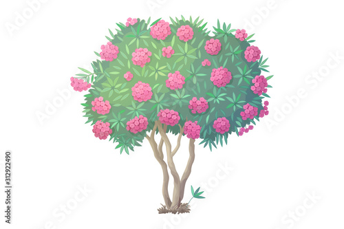 vector hand drawn plant clipart