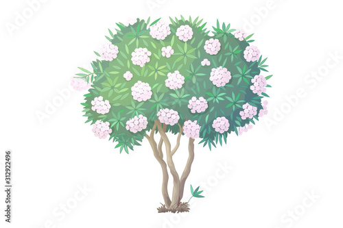 vector hand drawn plant clipart