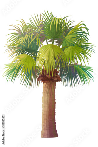 vector hand drawn plant clipart