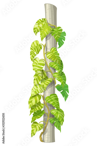 vector hand drawn plant clipart