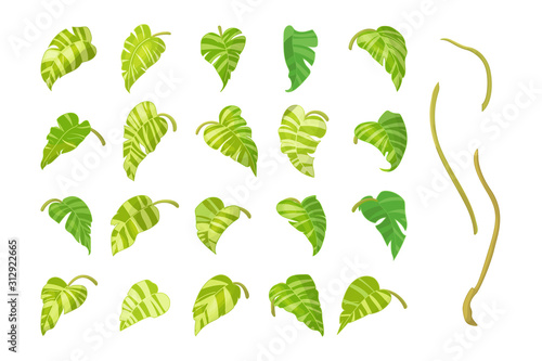 vector hand drawn plant clipart