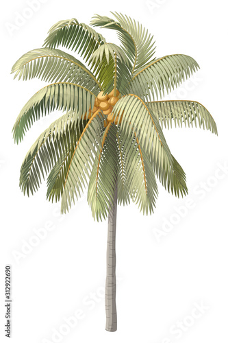 vector hand drawn plant clipart