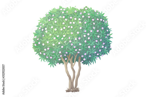 vector hand drawn plant clipart