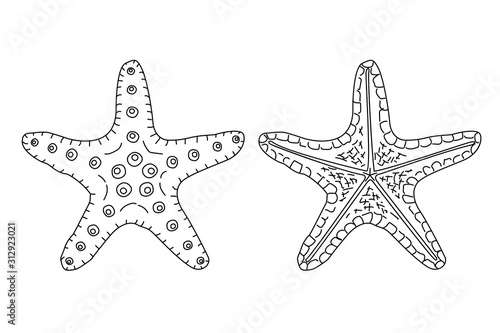 vector sea beach object clipart