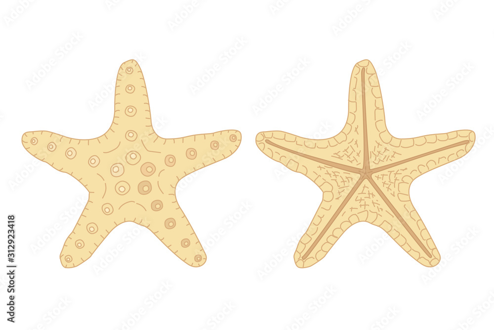 vector sea beach object clipart vector sea beach object clipart