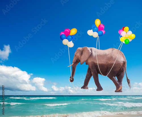 African elephant fly on the color air balloons