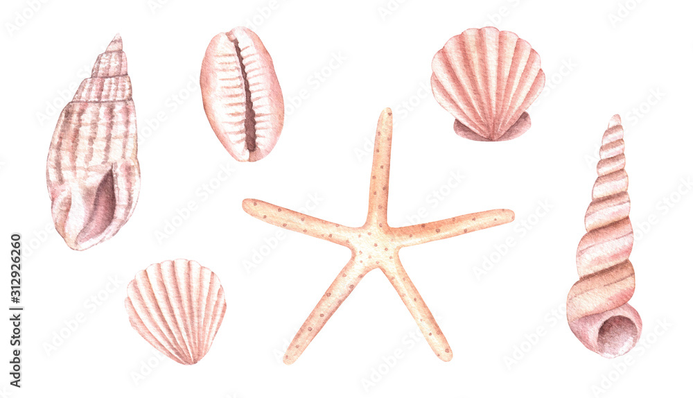 Watercolor Sea Shells Set Watercolor Sea Shells Set