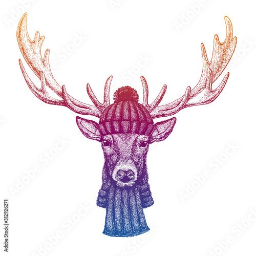 Deer. Ski, skier animal wearing woolen knitted hat. Christmas time. Cartoon character for little children. Kids print for shirts. Nursery decor.