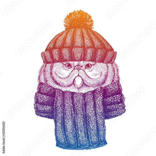 Cat. Ski, skier animal wearing woolen knitted hat. Christmas time. Cartoon character for little children. Kids print for shirts. Nursery decor.