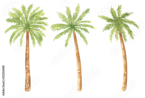 Watercolor Palm Trees Set