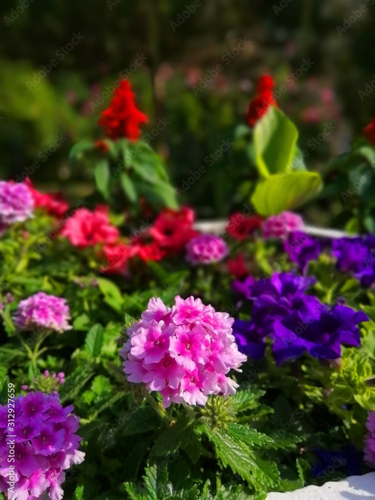 Природа Природа