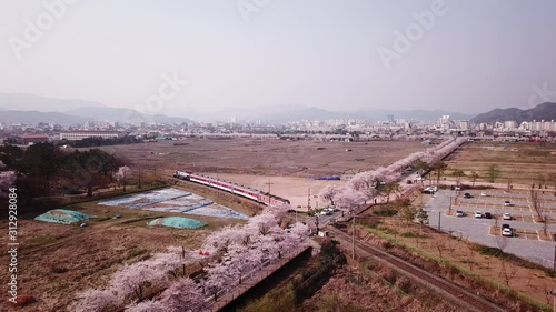 Aerial view Video at Gyeongju Cherry Fastival,South Korea photo