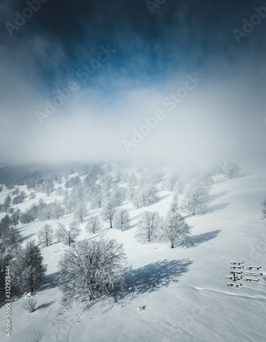 Aerial view of snow covered trees with long tree shadows against fog and dark blue sky