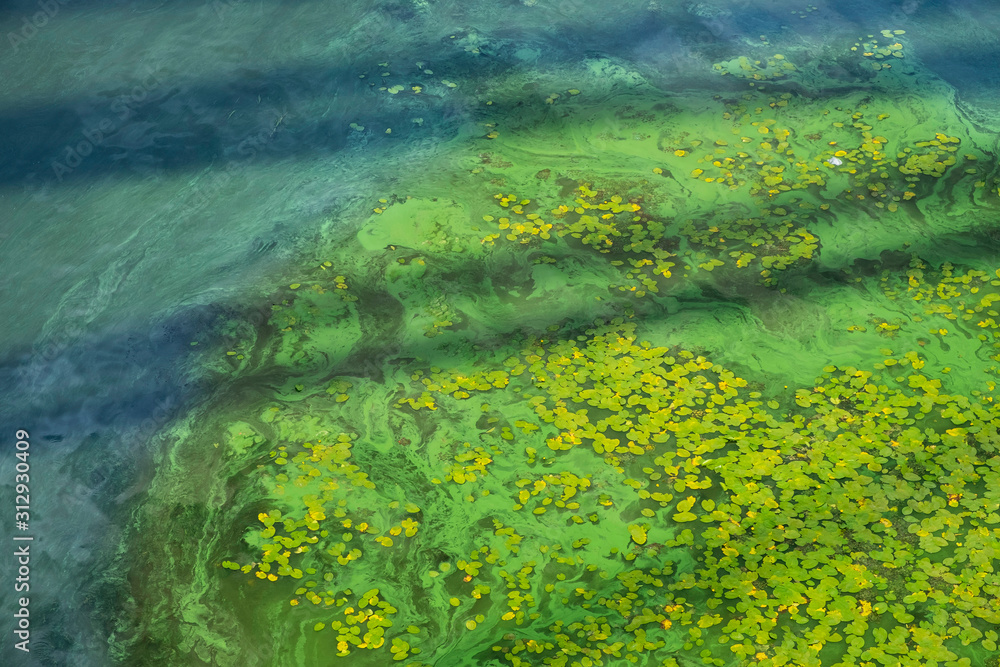 Dirty water in the river. River water pollution. Ecological concept of polluted nature. Dirty water in the river. River water pollution. Ecological concept of polluted nature.
