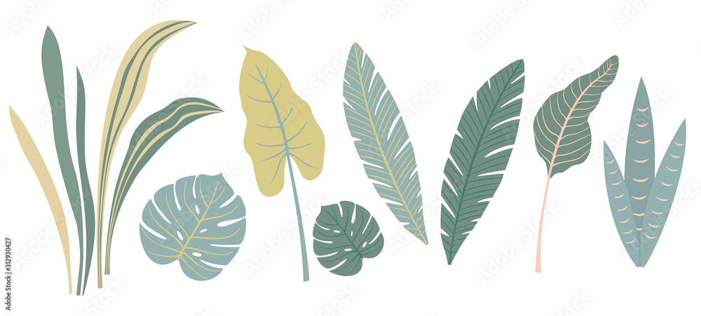 Fototapeta Set of abstract tropical leaves. Vector illustration.