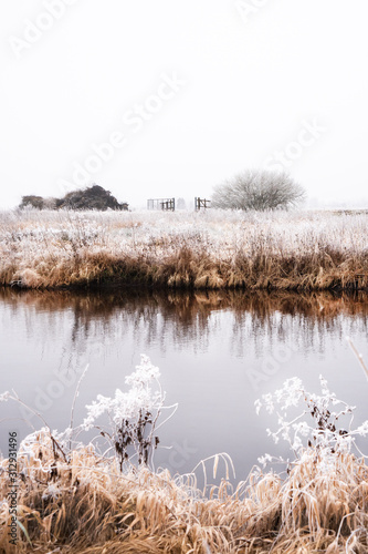 lake in winter