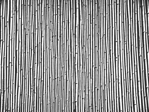 Distress old dry wooden texture. Black and white grunge background. Vector illustration