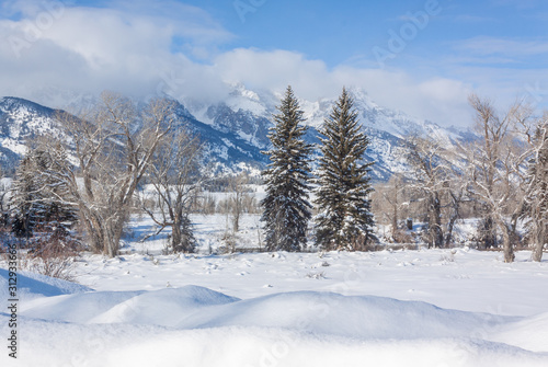Wallpaper Mural Scenic Teton Winter Landscape Torontodigital.ca