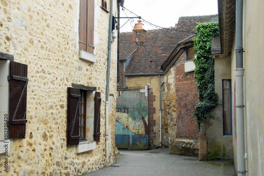 Ville de Mortagne-au-Perche, vieille bâtisses et façades du centre historique de la ville, portail peint, département de l'Orne, France