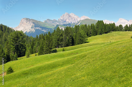 Seceda mountain views from Alpe di Siusi or Seiser Alm, Dolomites Alps , Italy © estivillml