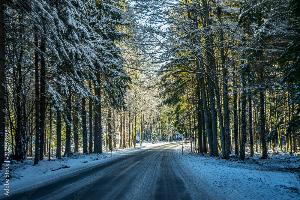 The Bohemian Forest, known in Czech as Sumava, is a low mountain range in Central Europe. They create a natural border between the Czech Republic on one side and Germany and Austria on the other.