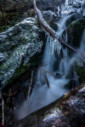 The Bohemian Forest, known in Czech as Sumava, is a low mountain range in Central Europe. They create a natural border between the Czech Republic on one side and Germany and Austria on the other. photo