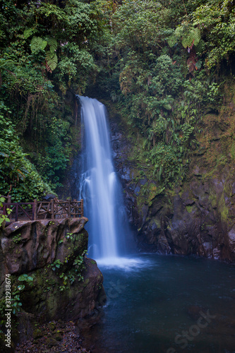 Scenic Waterfall in a Costa Rica Jungle.