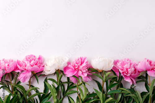 Flowers pink peony frame on white background. Top view with copy space, seasonal sprig summer time concept, 8 march, woman day, easter, mother day, birthday, wedding