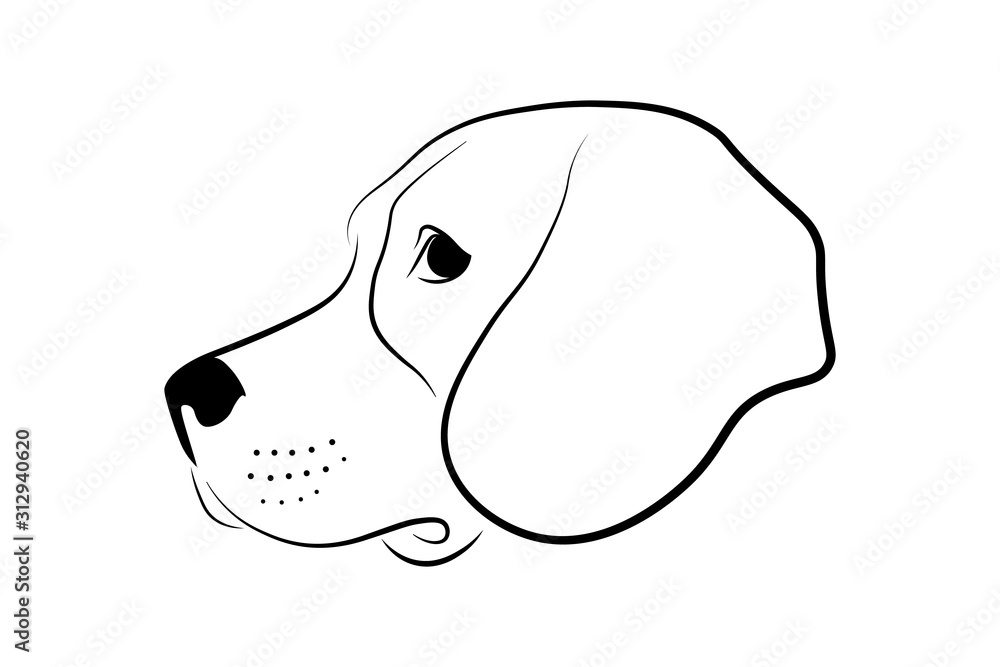 Dog head profile design. Black linear sketch on white background