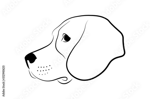 Dog head profile design. Black linear sketch on white background. Vector illustration