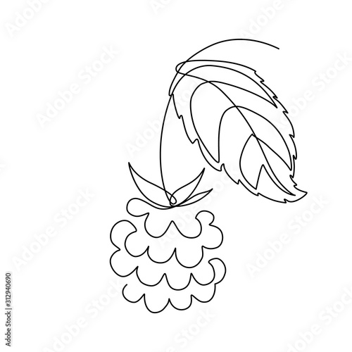 Raspberry fruit in continuous line art drawing style. Minimalist black linear sketch on white background. Vector illustration